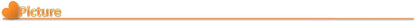 Creme Hidratante Baba de Caracol Original - Nutritivo Regenerador Facial 50g